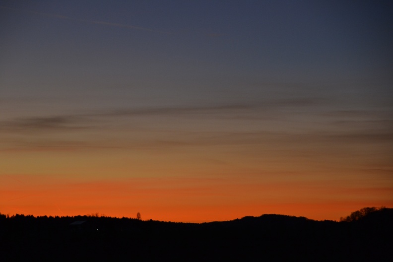DSC_0297.JPG